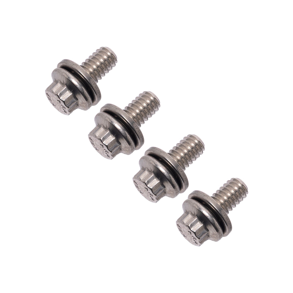 ARP Stainless Steel Bolt Kit for Low Rider S& ST Front Fender