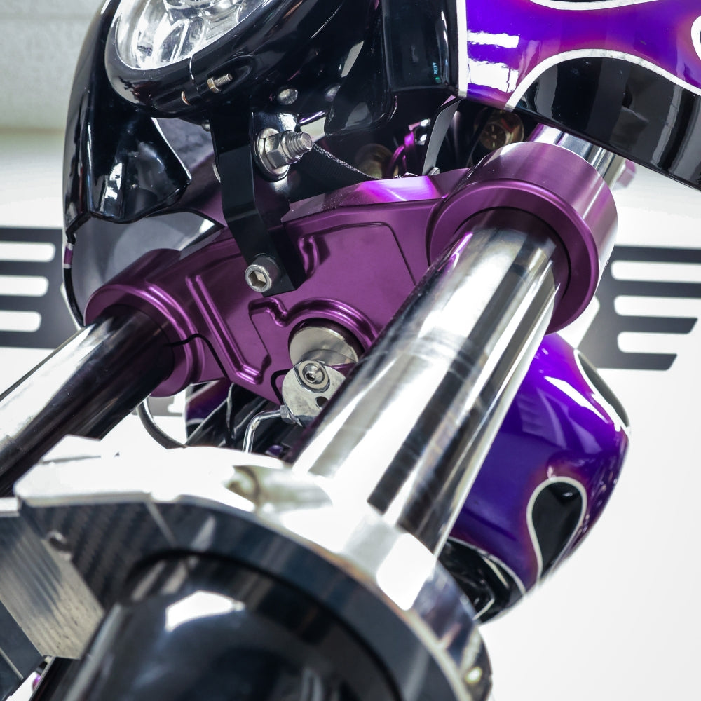 OG 2018-Up Softail 49mm Lower Triple Trees kit installed on a 2021 Softail Standard FXST