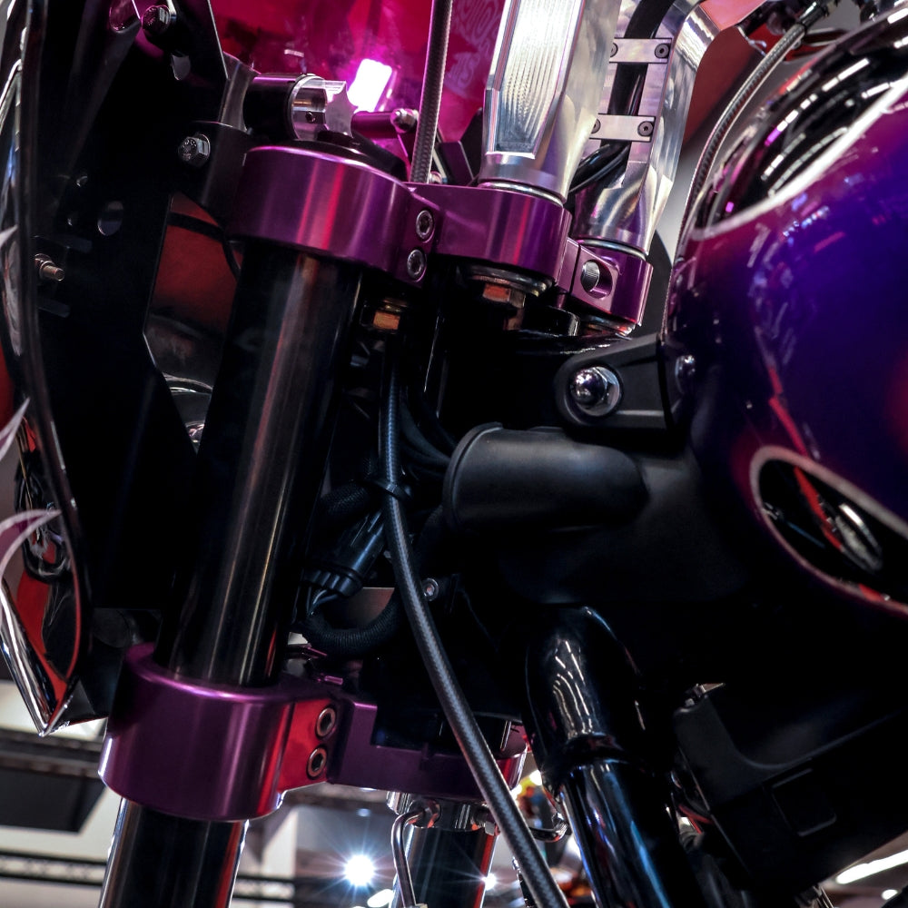 OG 2018-Up Softail 49mm Lower Triple Trees kit installed on a 2021 Softail Standard FXST