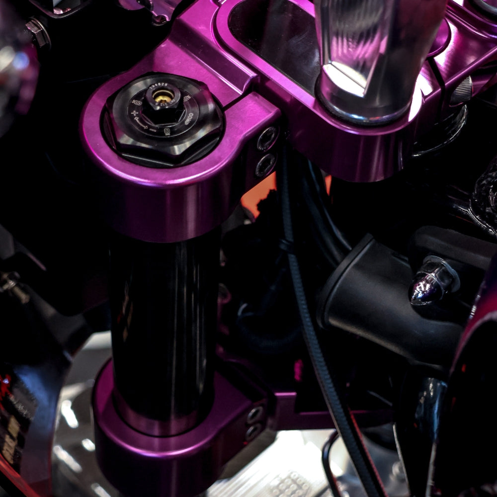 OG 2018-Up Softail 49mm Triple Trees kit installed on a 2021 Softail Standard FXST