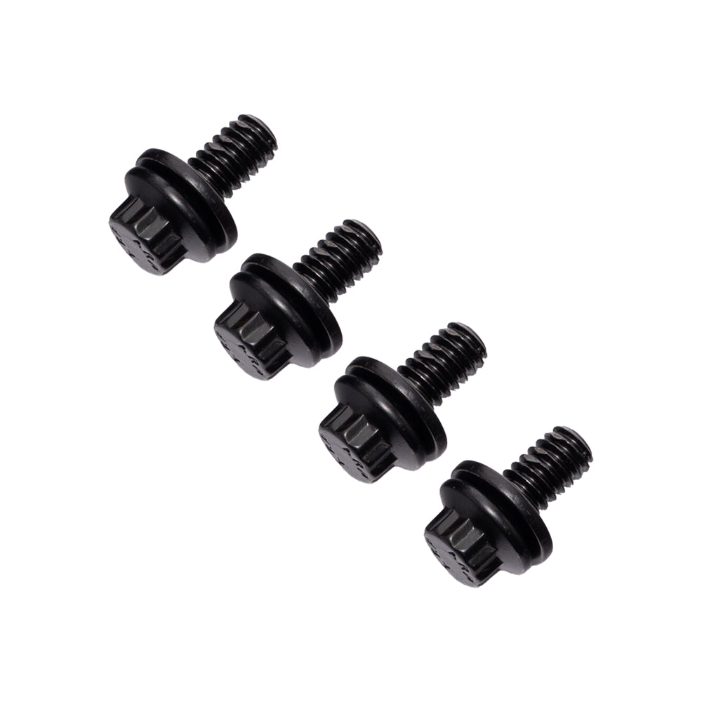 ARP Black Oxide Chrome Moly Bolt Kit for Low Rider S& ST Front Fender