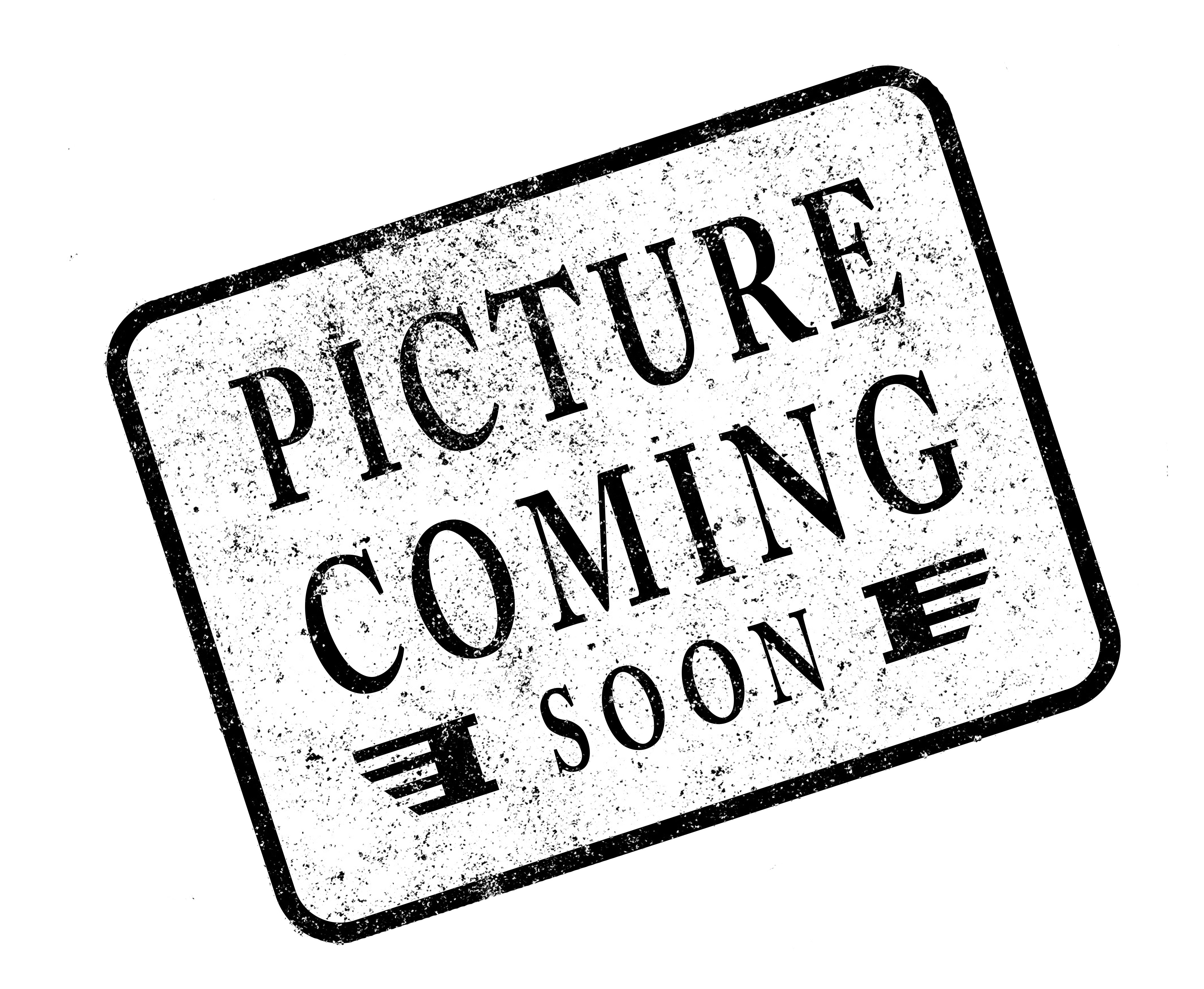 Single Gauge Speedo Harness for 2022-Up Softail