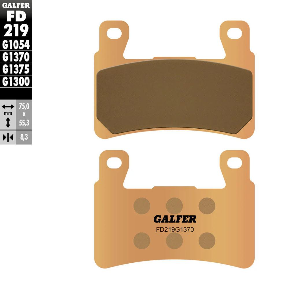 Galfer Harley-Davidson 2018-Up Softail (Front) Brake Pad
