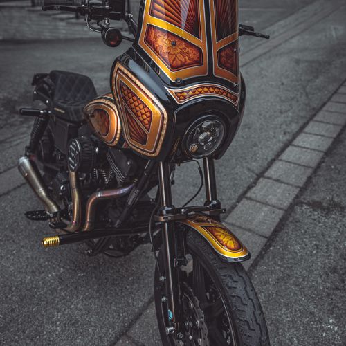 Dyna fork hotsell