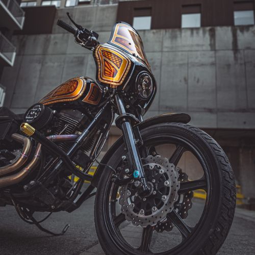 Harley Davidson Dyna FXR Crash Bar